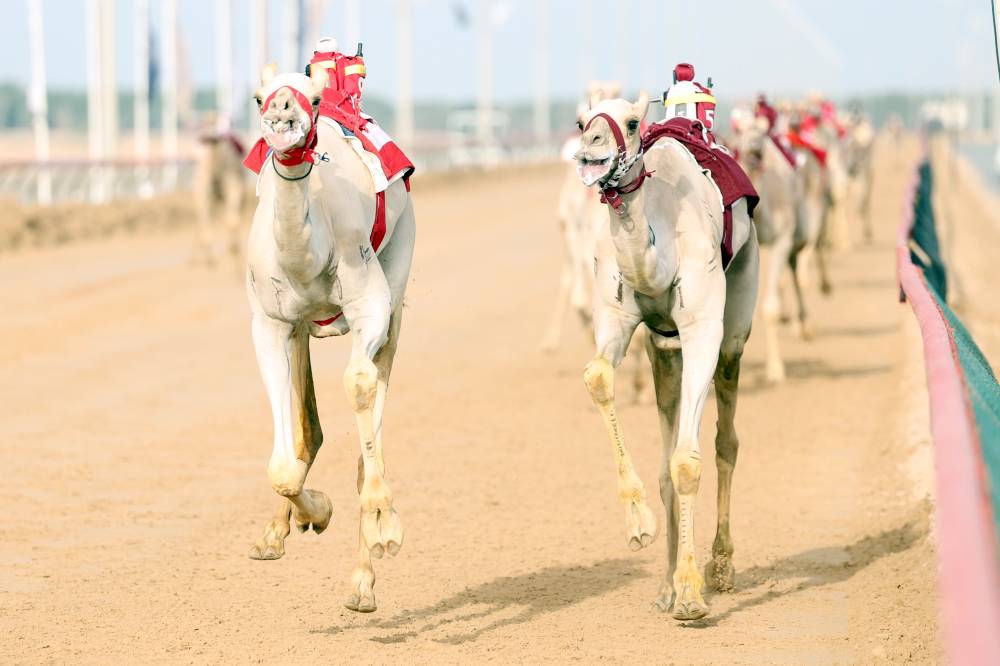 مهرجان ختامي المرموم  26/3/2026 الخميس   تصوير : (( هيثم الخاتم ))