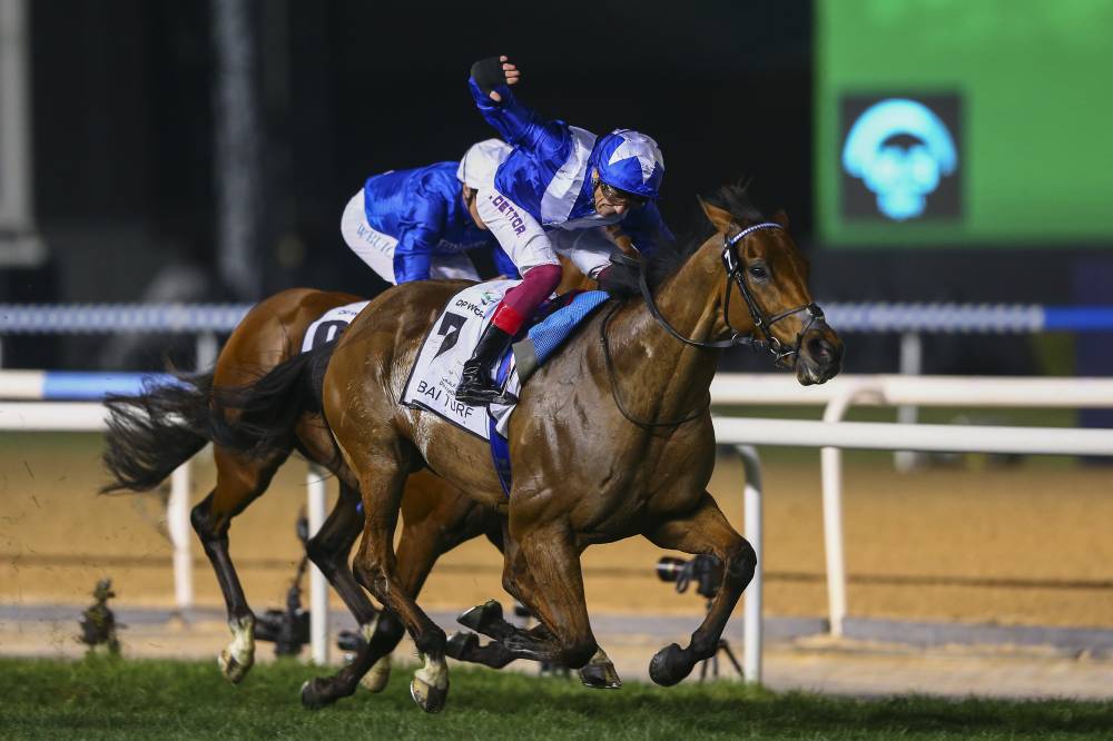  «لورد نورث» هو أكثر الخيول تحقيقاً للانتصارات