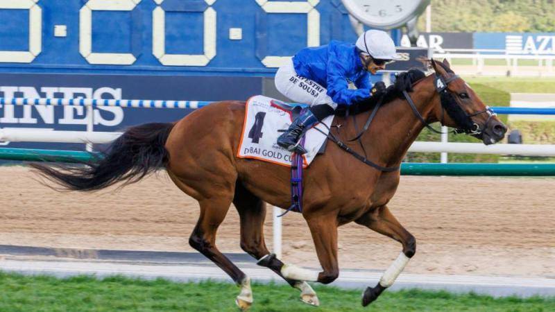 «دبي فيوتشر»