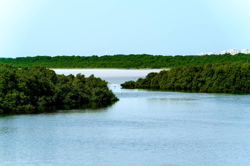 بلدية عجمان ترتقي بالبيئة وجودة الحياة عبر برامج مبتكرة