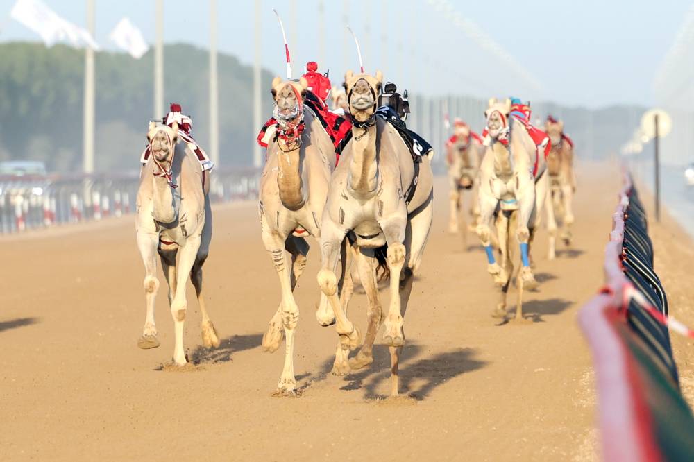 مهرجان ختامي المرموم 29/3/2026 تصوير : هيثم الخاتم