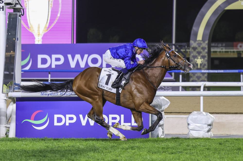 الشوط السابع .. كأس دبي العالمي (( محمد شعلان ))