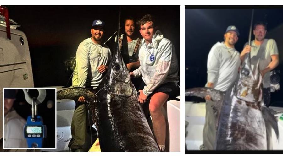 أمريكي يصطاد سمكة وزنها 218 كجم