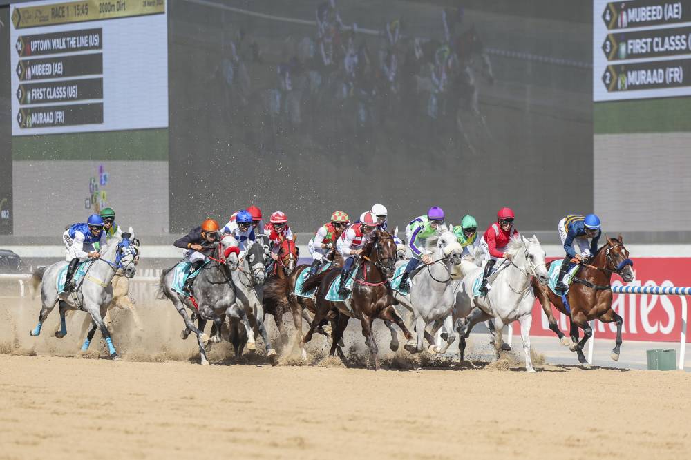 الشوط الأول .. كأس دبي العالمي (( محمد شعلان ))