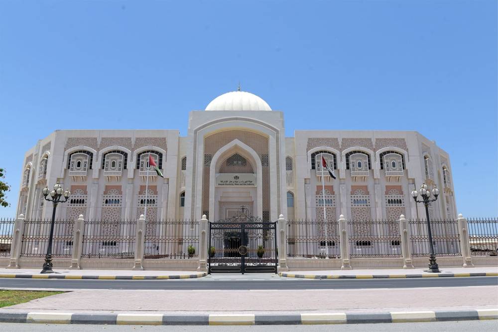 «كهرباء الشارقة» تتعامل مع 8300 بلاغ خلال المنخفض