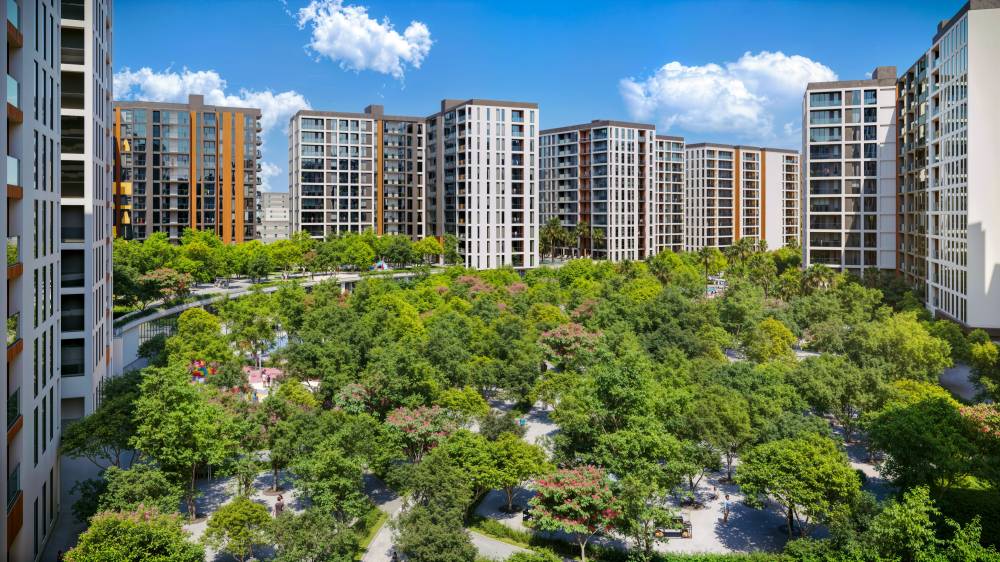 تجهيز الموقع وتهيئة البنية التحتية للإنشاء