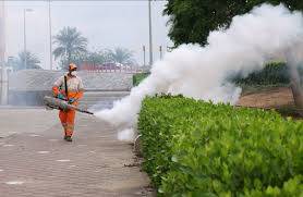 الشارقة.. إرشادات لمكافحة البعوض خلال موسم الأمطار