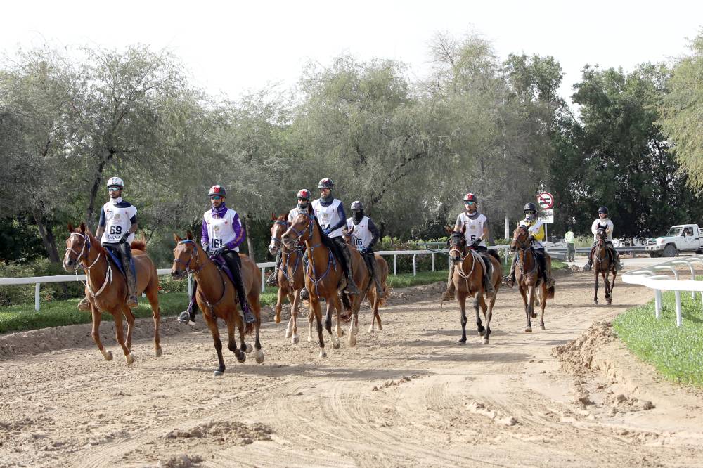 كأس ولي عهد دبي شهد مشاركة مميزة (تصوير: السيد رمضان)