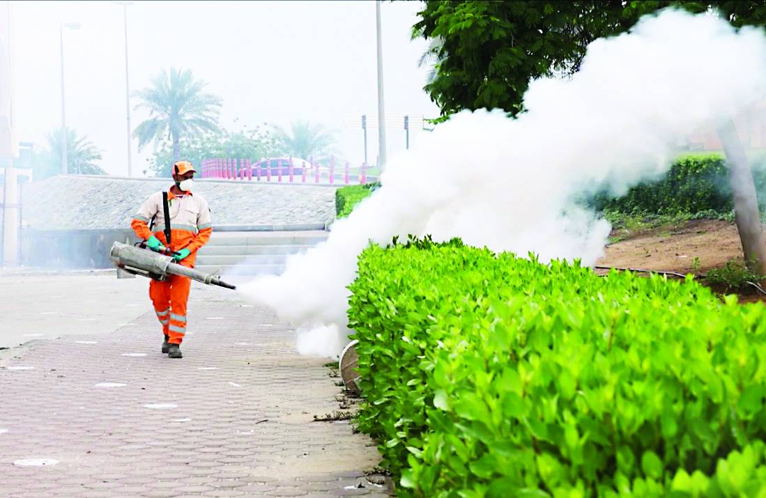 بلدية الشارقة تصدر إرشادات للحد من تكاثر البعوض