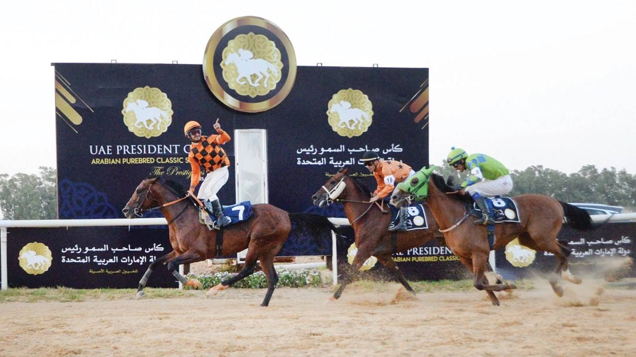 من منافسات كأس رئيس الدولة للخيول