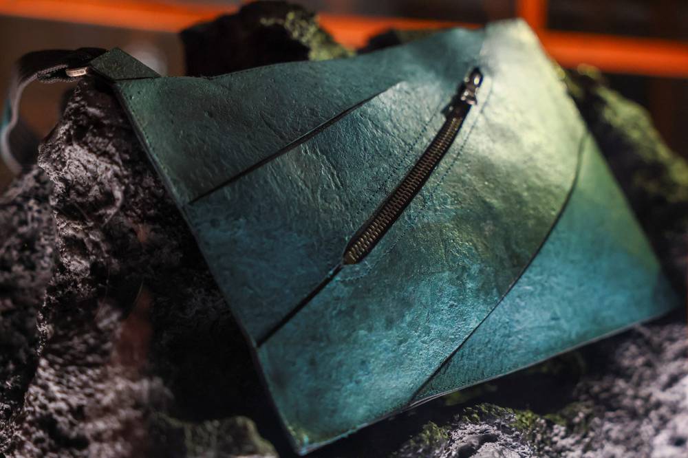 الحقيبة، داخل ‌القفص (رويترز)