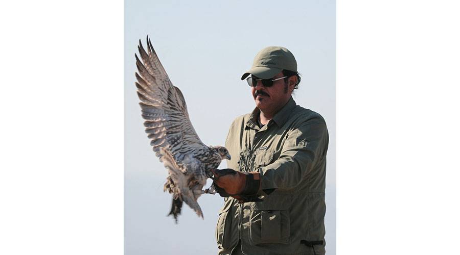 كازاخستان تطلق 34 صقراً مهدداً بالانقراض في البرية