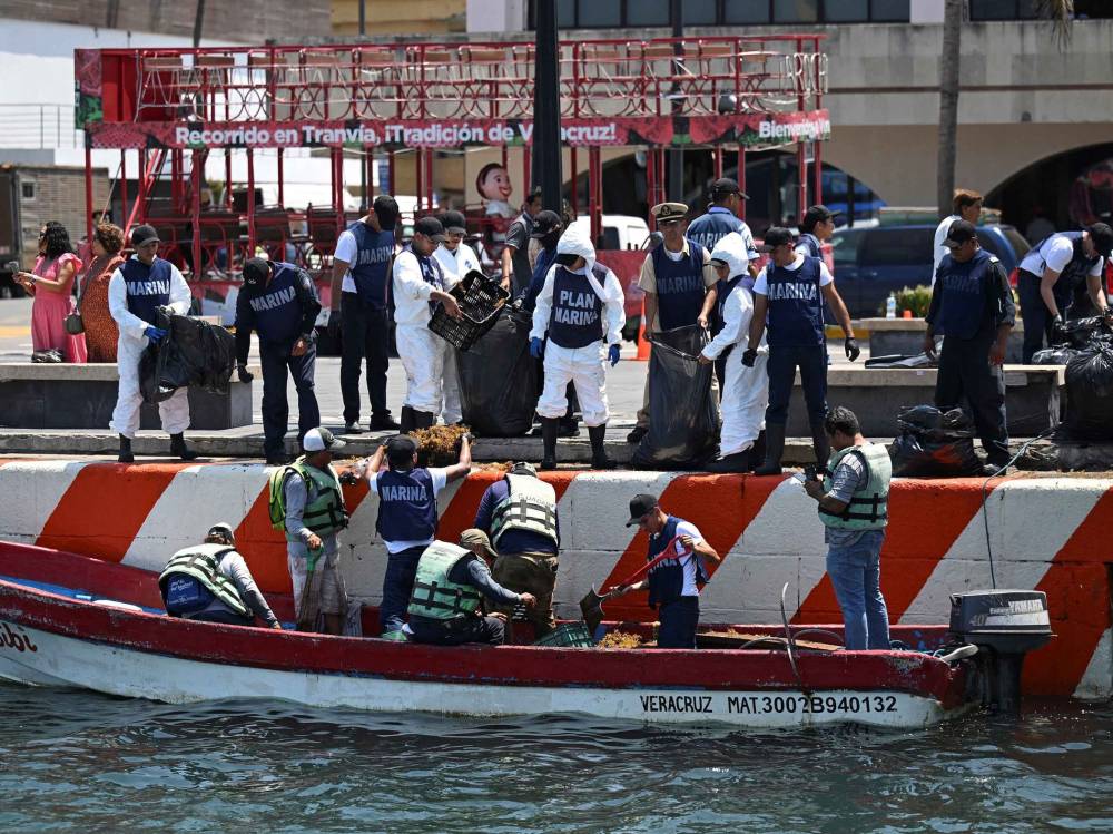 جمع 889 طناً من الملوثات بعد تسرب نفطي في خليج المكسيك