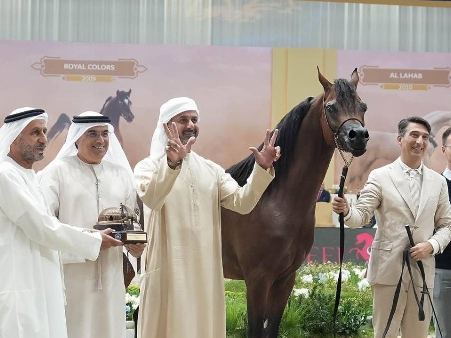 خلال تتويج مربط دبي بإحدى الفئات