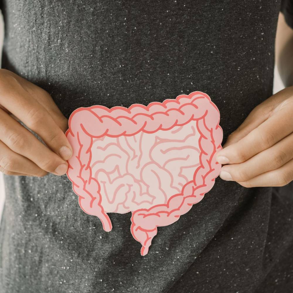 المضادات الحيوية قد تدمر أمعاءك لسنوات.. كيف تحمي صحة الجهاز الهضمي؟