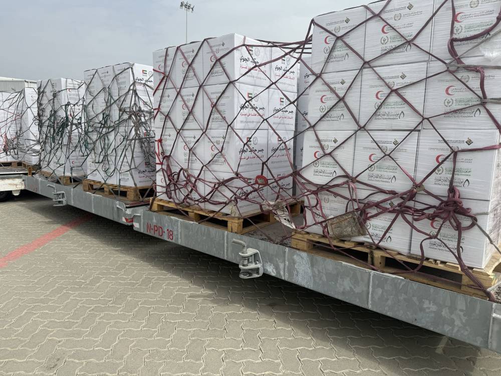 الإمارات تواصل إغاثة غزة بمساعدات غذائية عبر جسر حميد الجوي (فيديو)