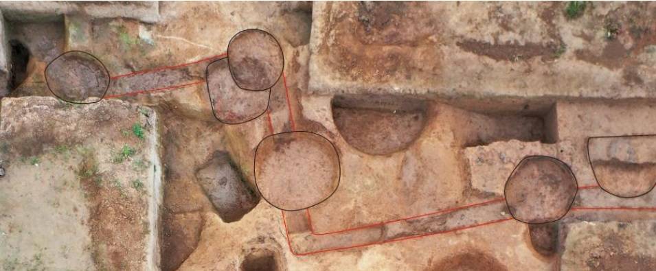 الشبكة المكتشفة