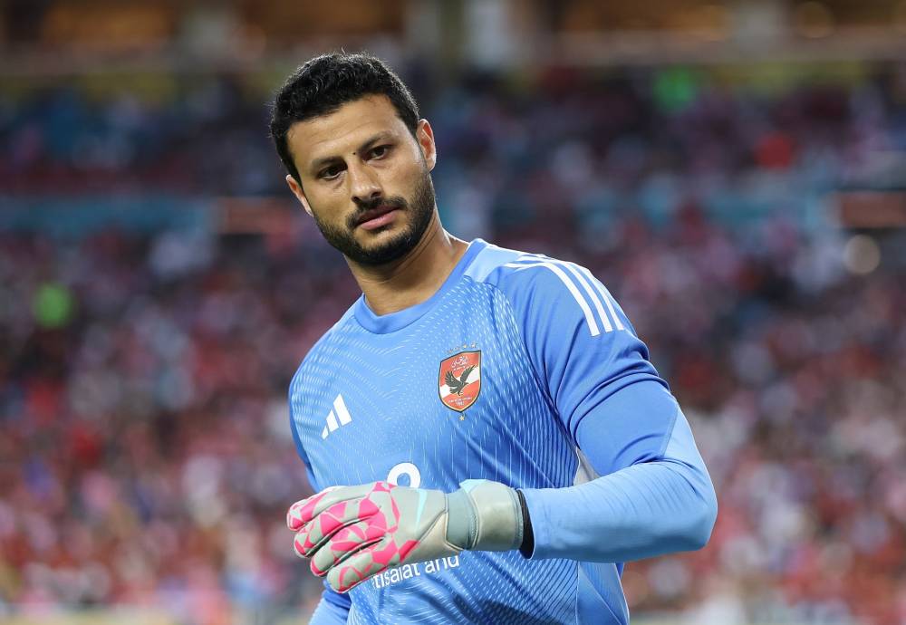 محمد الشناوي