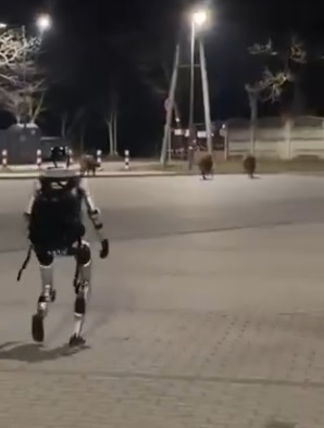 أغرب تجربة ذكاء اصطناعي في شوارع بولندا