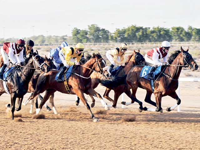 “زمن العجايب” لرئيس الدولة يتوج بلقب الشوط الرابع
