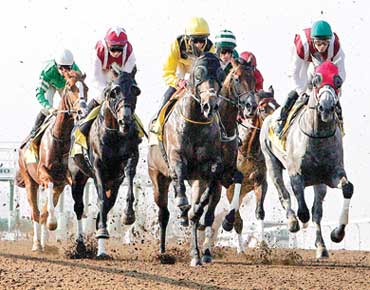 شوط للخيول العربية الأصيلة على كأس حمدان بن راشد