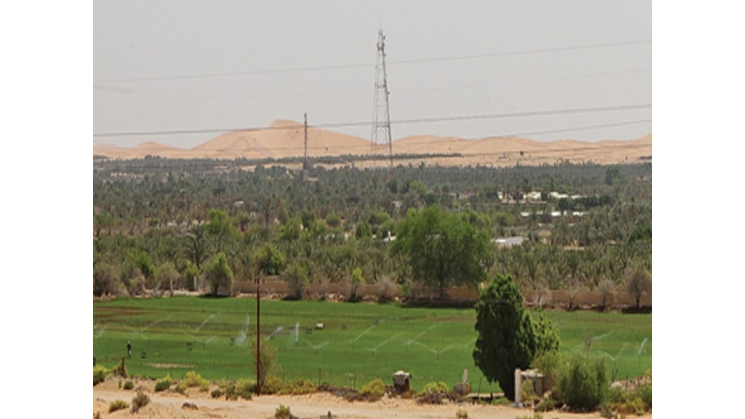 رماح.. قلب أبوظبي - العين تعكس الإصرار على إعمار الصحراء